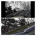 Roof cleaning  19